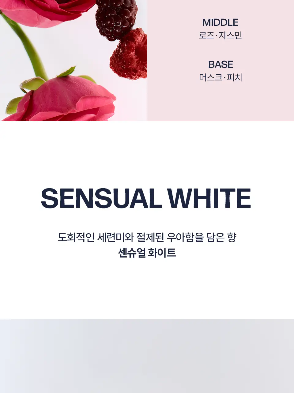 [고보습/퍼퓸] 어노브 글로우 핸드워시 290ml 2종 택 1(로지아우라/센슈얼화이트) 상세페이지 9